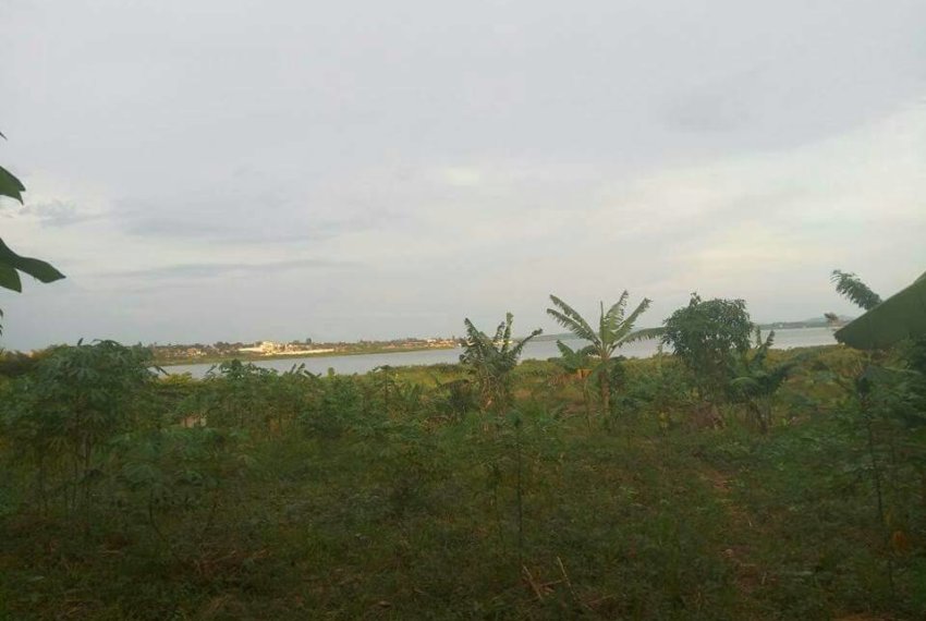2 ACRES AND 70 DECIMALS FOR SALE ALL AT ONCE IN MUYENGA
