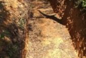 Farm land 40 acres for sell in Kyabandara Kamwenge