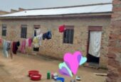 An finished rentals for sell in Nyamitanga