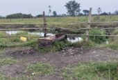 Farmland for sale in Nyakisharara Mbarara Mbarara, Uganda