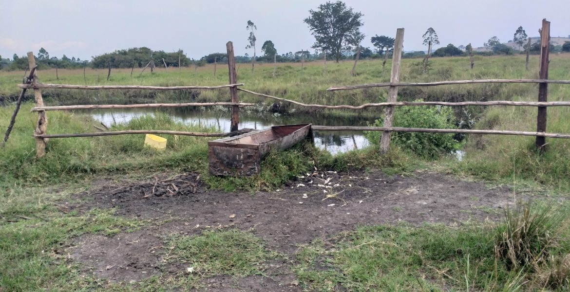 Farmland for sale in Nyakisharara Mbarara Mbarara, Uganda