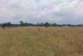 Farmland for sale in Nyakisharara Mbarara Mbarara, Uganda