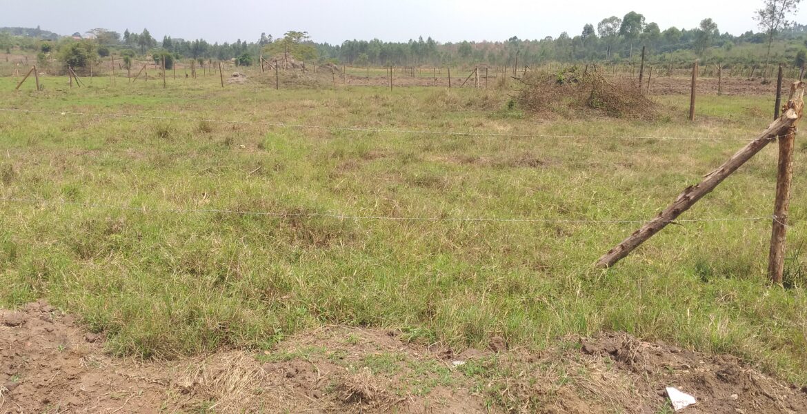 100ft by 100ft Plot for sale Katete Mbarara