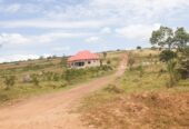 CANAN ESTATE KYAMUGORANI MBARARA CITY