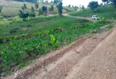 PLOTS ON SALE In Namayumba_Wakiso,along Hoima road