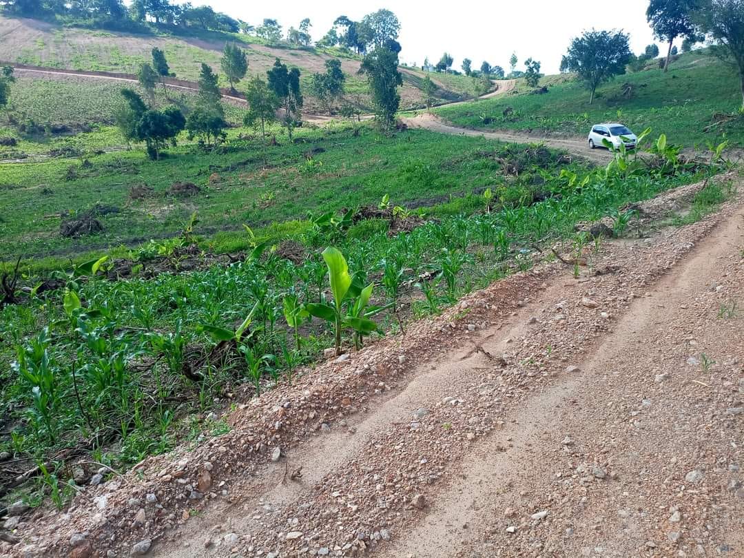 PLOTS ON SALE In Namayumba_Wakiso,along Hoima road