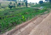 PLOTS ON SALE In Namayumba_Wakiso,along Hoima road