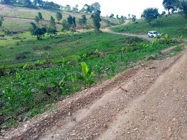 PLOTS ON SALE In Namayumba_Wakiso,along Hoima road