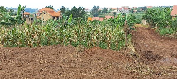 Plot in Jomayi-Namugongo with a very good hill view 75x100ft