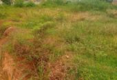 Plots for sale in kisasi, 26 decimals, private mile land