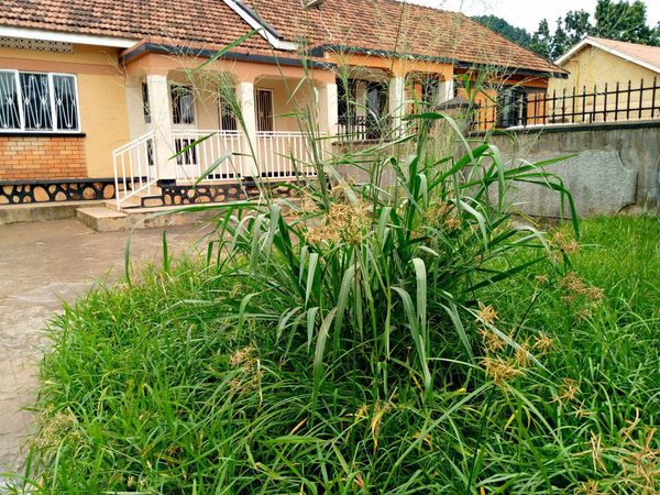 Property for sale in Ntinda, two houses in one on 22 decimal