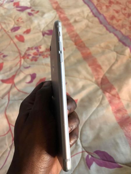 iPhone 6 Plus