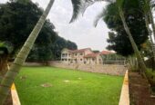 House For Rent In Naguru