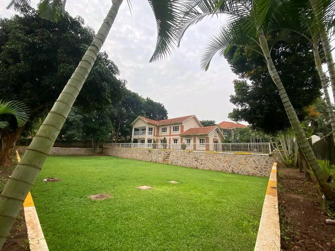House For Rent In Naguru