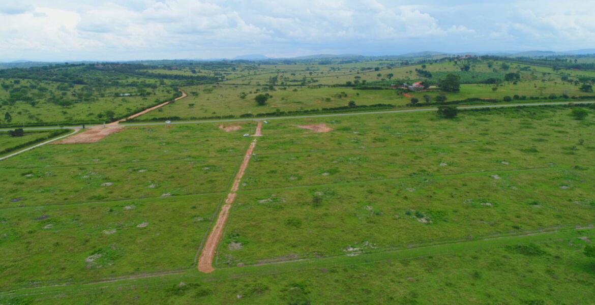 PLOTS FOR SALE IN NYAKISHARARA