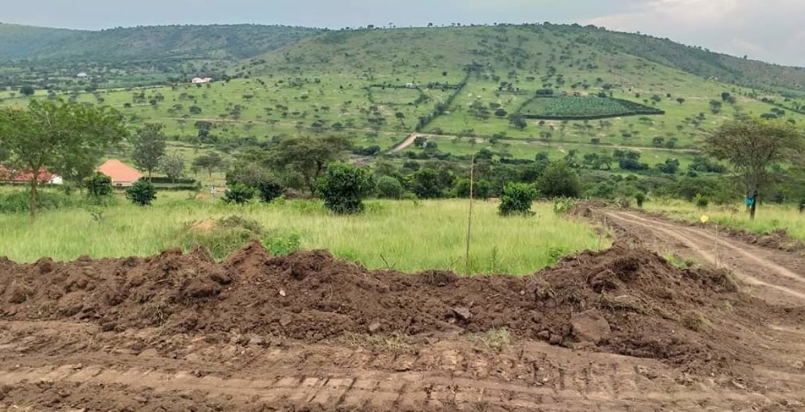 Plots For Sale In Rwenjeru Biharwe Mbarara City. Rwenjeru