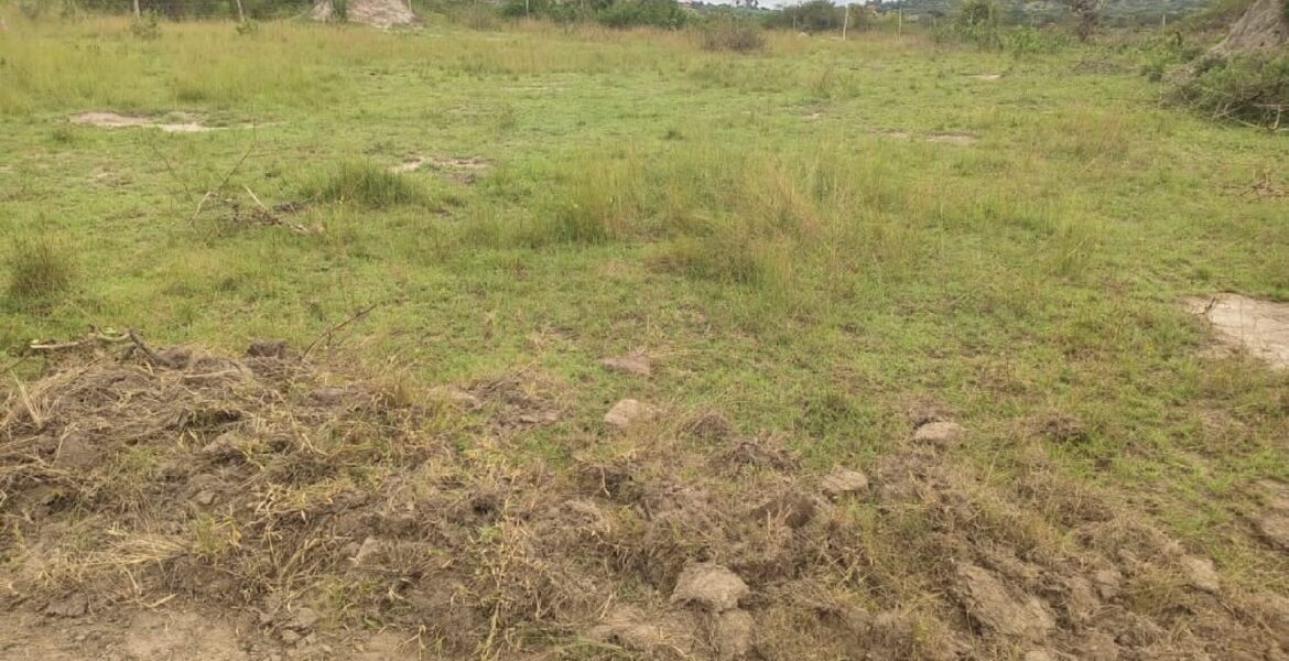 PLOTS FOR SALE IN NYAKISHARARA