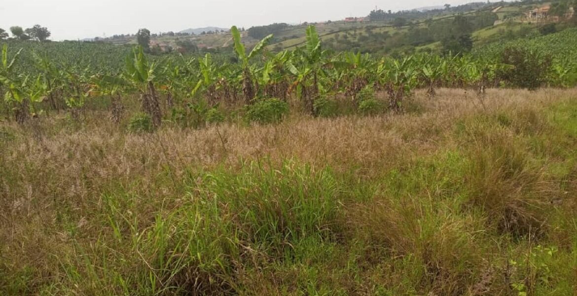 4 PLOTS OF LAND LAND FOR SALE OPPOSITE PINACLE HOTEL