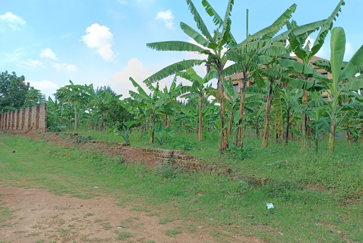 KIRA 1 ACRES AND 48 DECIMALS LAND FOR SALE