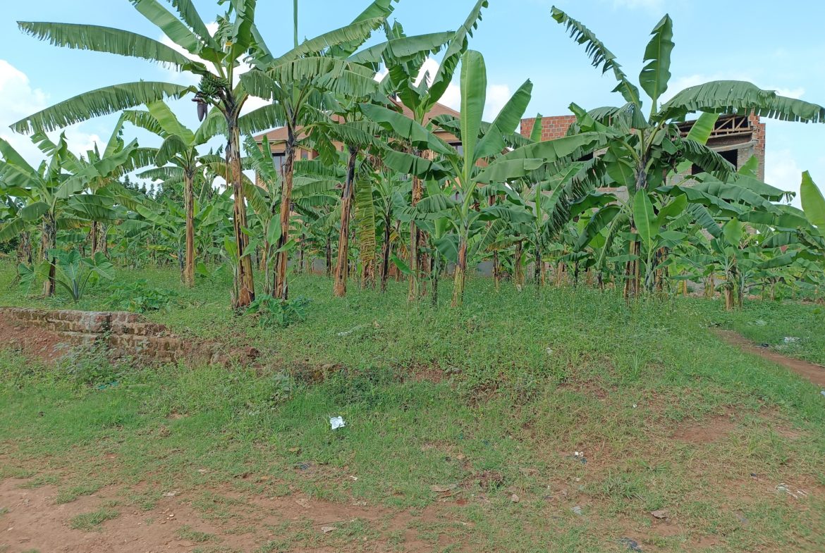 KIRA 1 ACRES AND 48 DECIMALS LAND FOR SALE