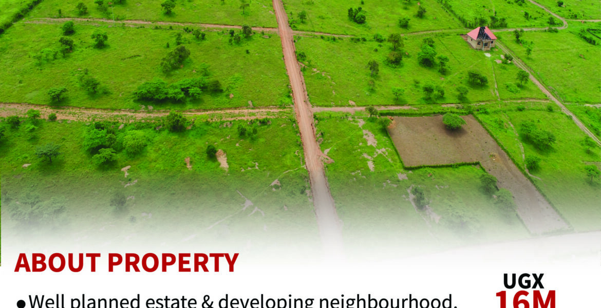 PLOTS IN RWEMIRABYO PHASE 1 ESTATE
