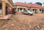 17 rental houses in Entebbe Ziru for sale.