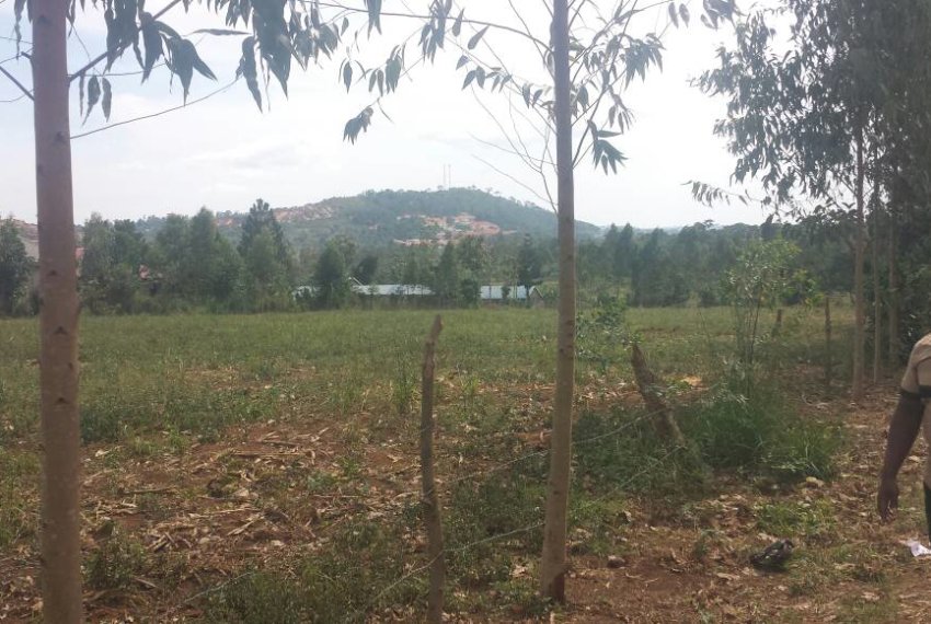 5 ACRES FOR SALE IN MUKONO MBALALA