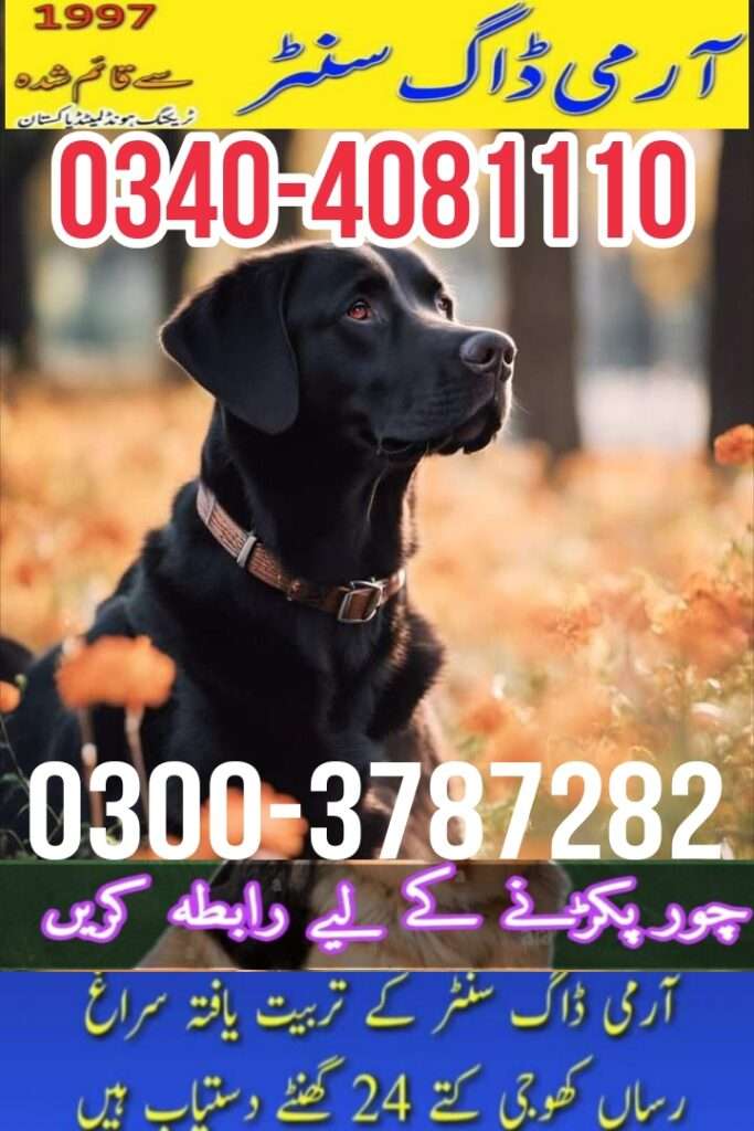 Army dog center Dera Ghazi Khan 0349-1997297