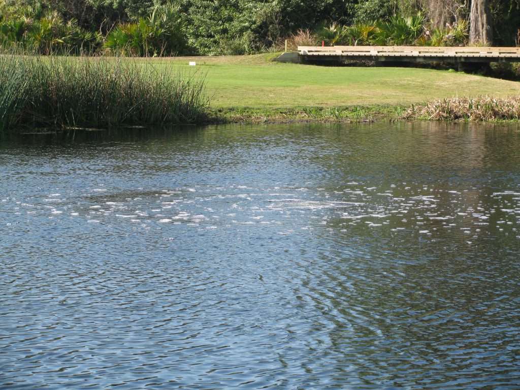 Submersed Pond Aerator installation in Uganda +256 709614648