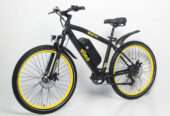 eBx 2.0 Electric bicycle