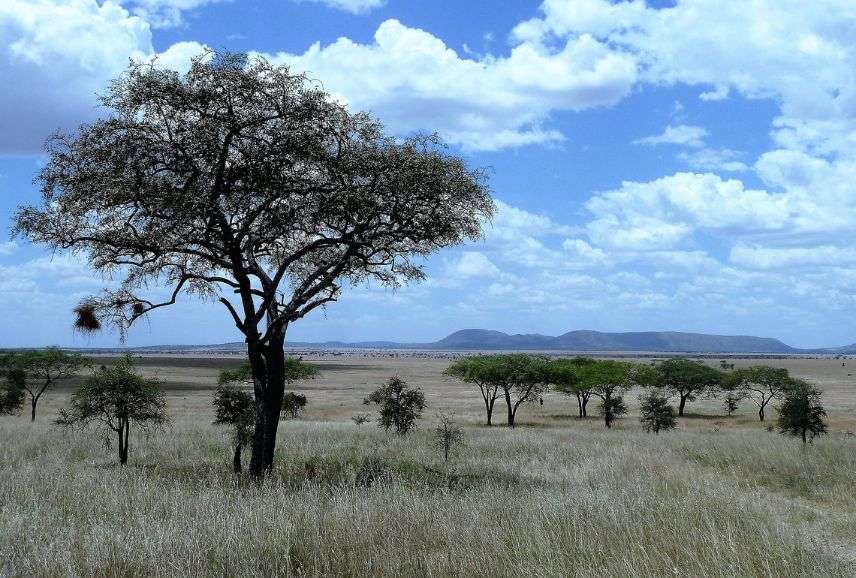 mount kilimanjaro trekking tours