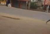 3 units of shops for sale in the Heart of kireka at 250m