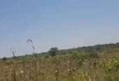 500 acres for sale in kisalizi kayunga each at 7m