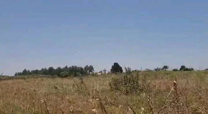 500 acres for sale in kisalizi kayunga each at 7m