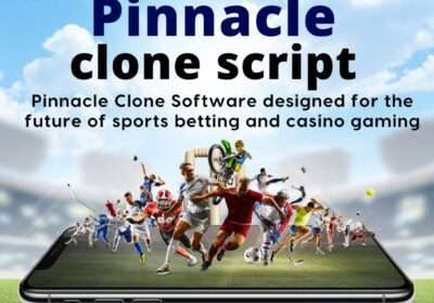 Pinnacle-clone-script