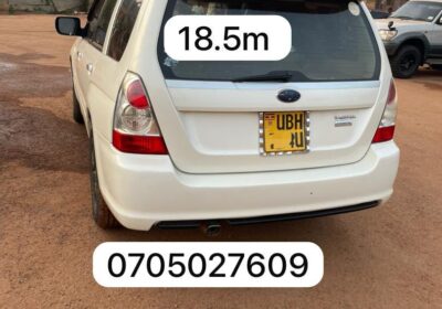 514506604_1057648969883568_7079977343218398378_n-1