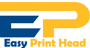 Store Banner