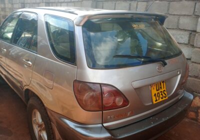 IMG_20250430_154522_775